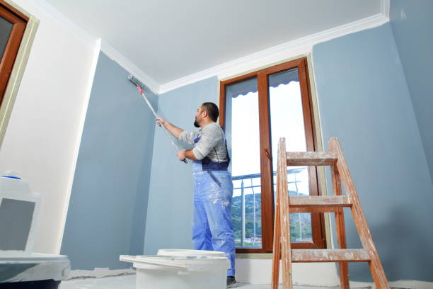 Best Cabinet Painting and Refinishing  in Bridgman, MI